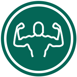 Chiropractic Export PA Assessment Icon
